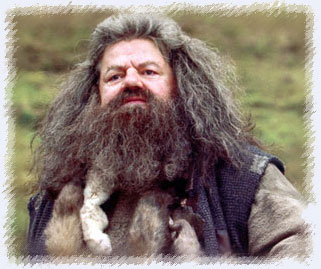 hagrid1.jpg